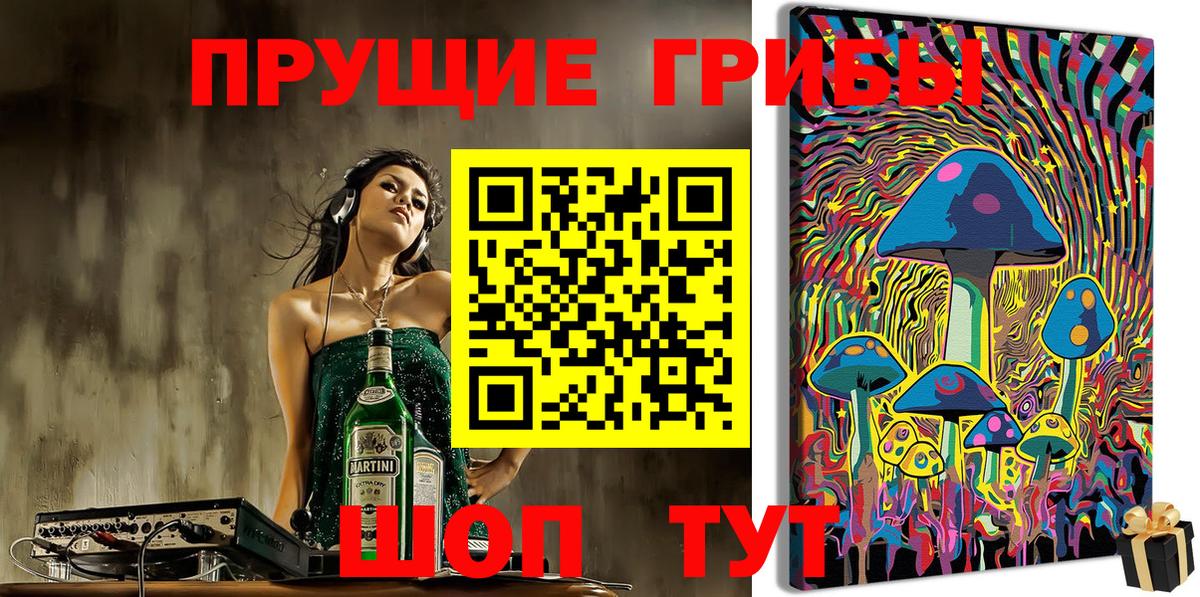 Ейск  Псилоцибиновые грибы прущие грибы  Вход с VPN 